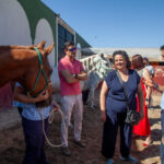 Cuidados y Manejo del Caballo y Servicios Hosteleros image